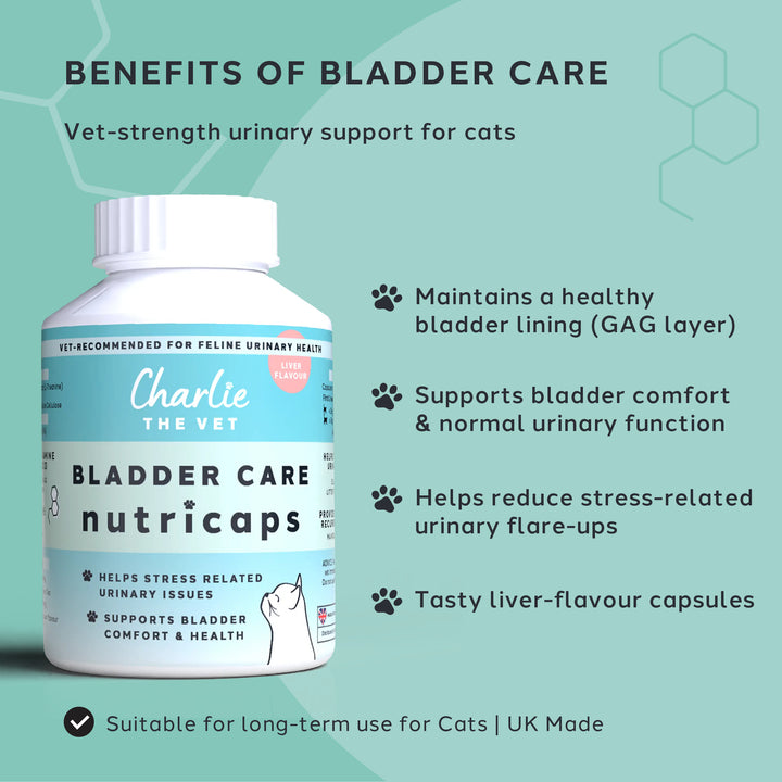 Bladder Care