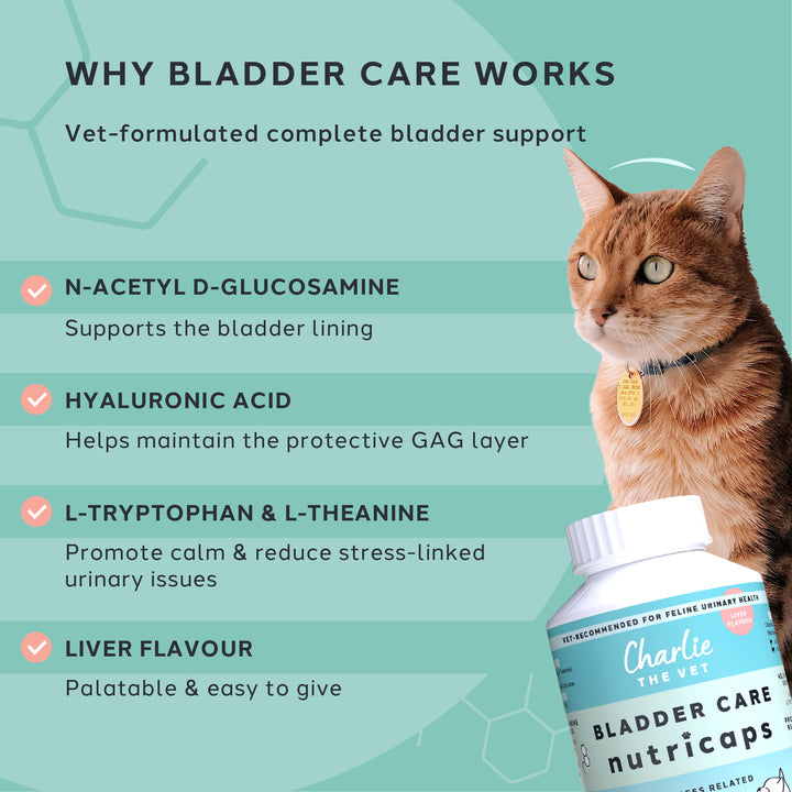 Bladder Care