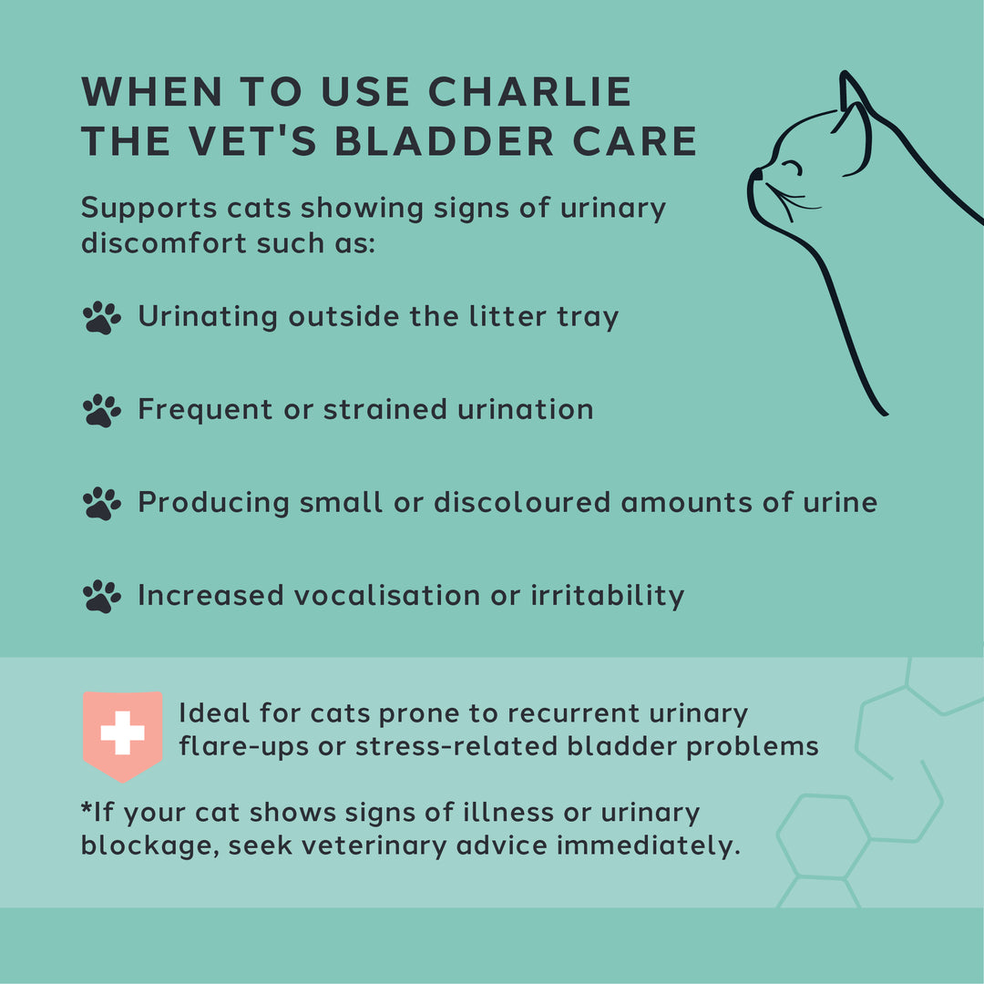 Bladder Care