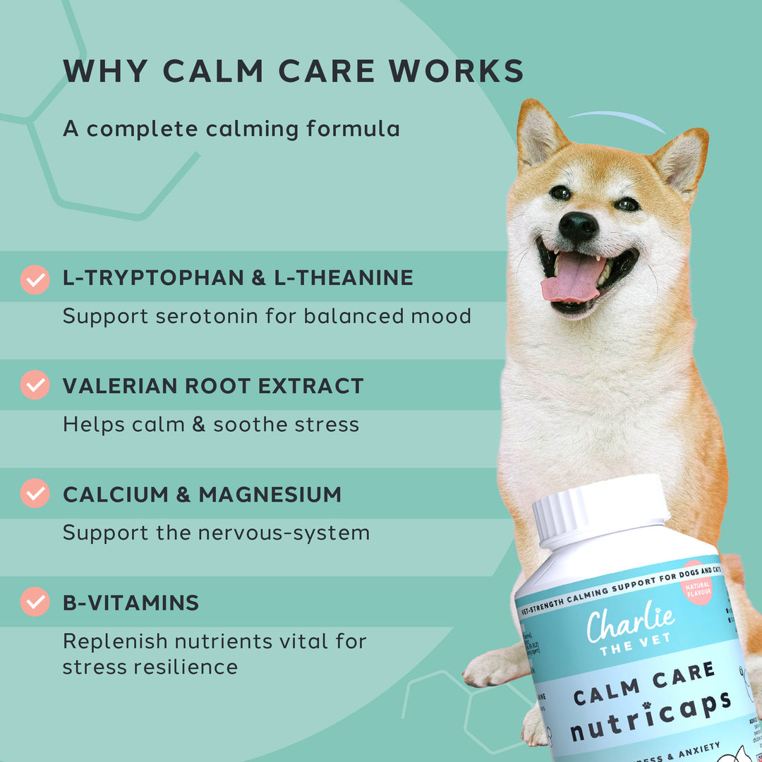 Calm Care