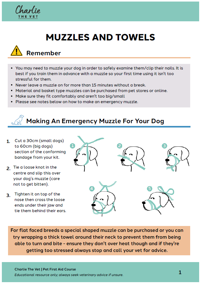 Pet First-Aid Expert (Video Course)