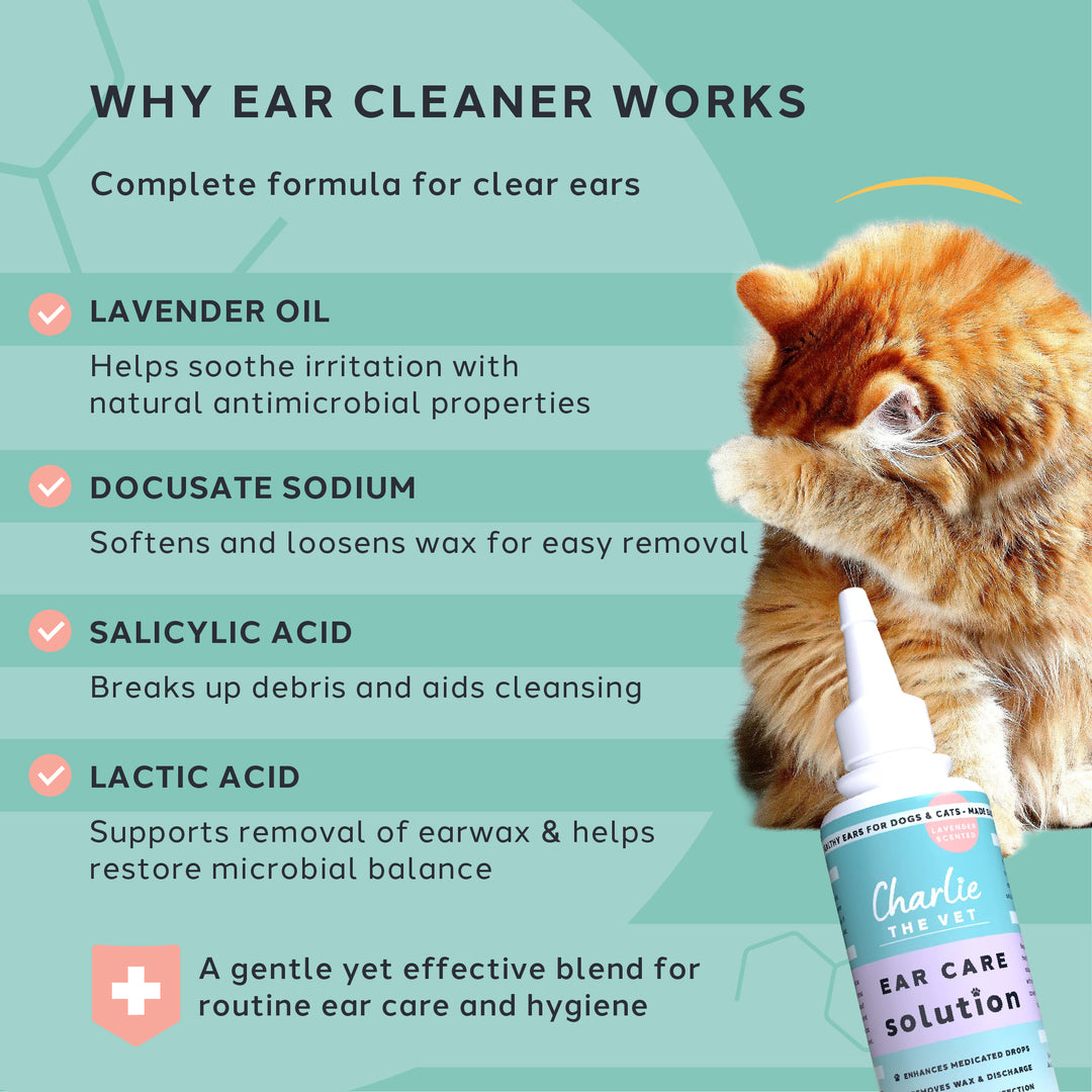 Ear Cleaner