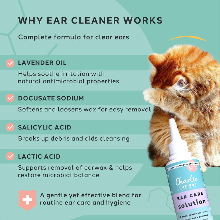 Ear Cleaner