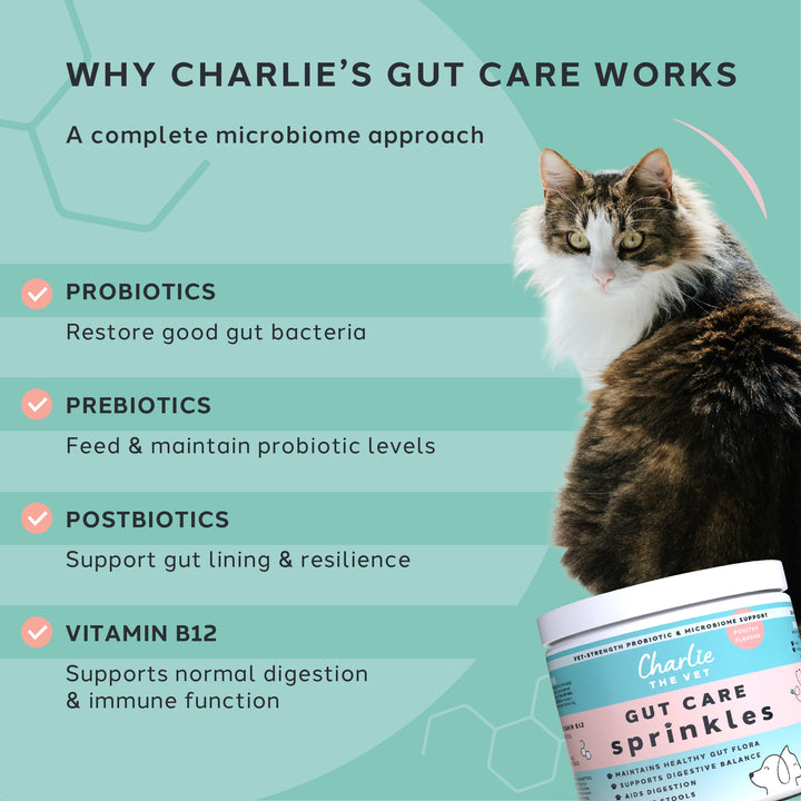 Gut Care