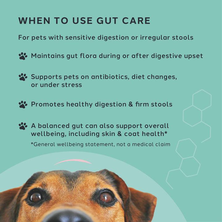 Gut Care