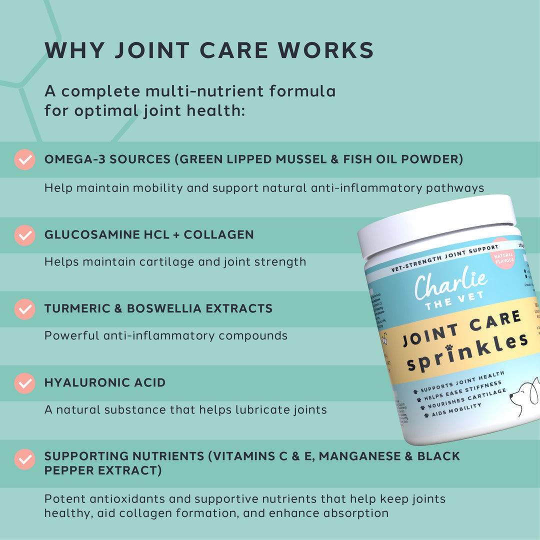 Joint Care CharlieTheVet Joint Care CharlieTheVet