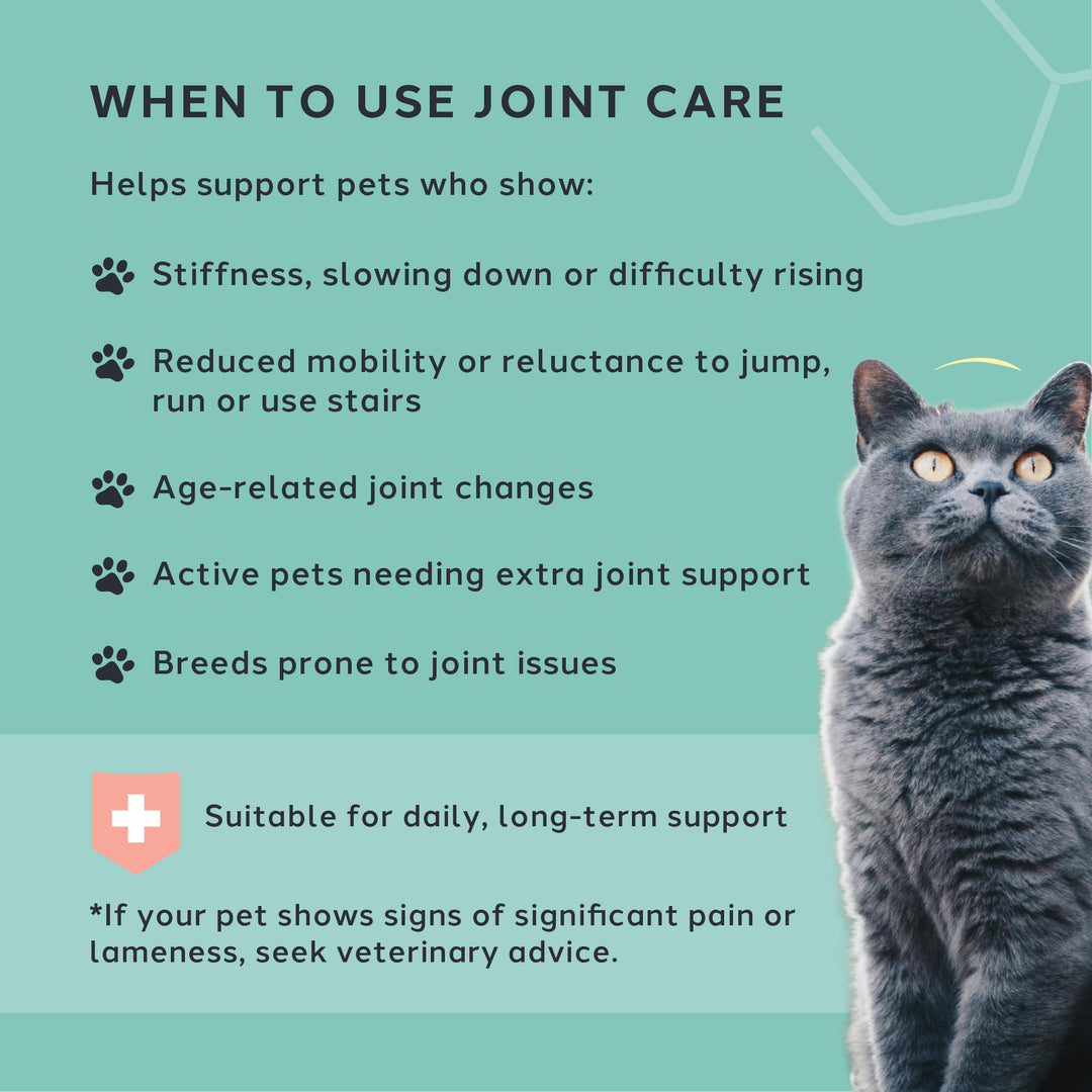 Joint Care
