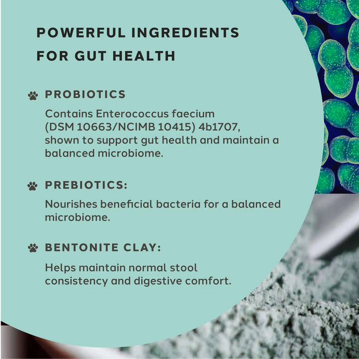 Diarrhoea Care Probiotic Paste