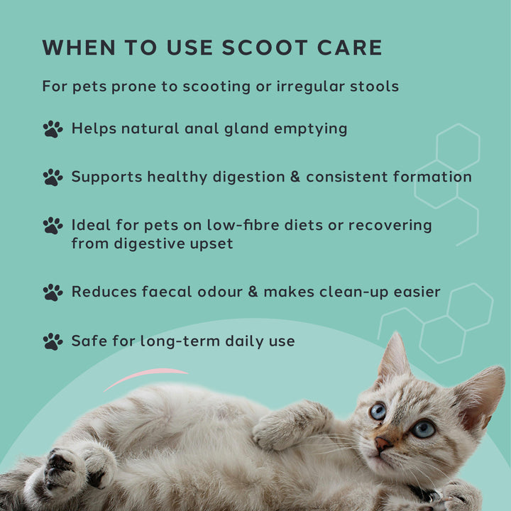Scoot Care