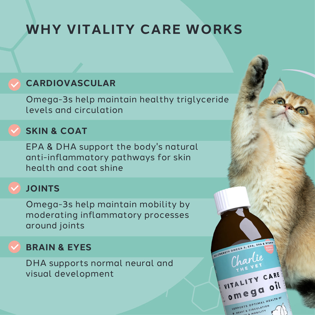 Vitality Care