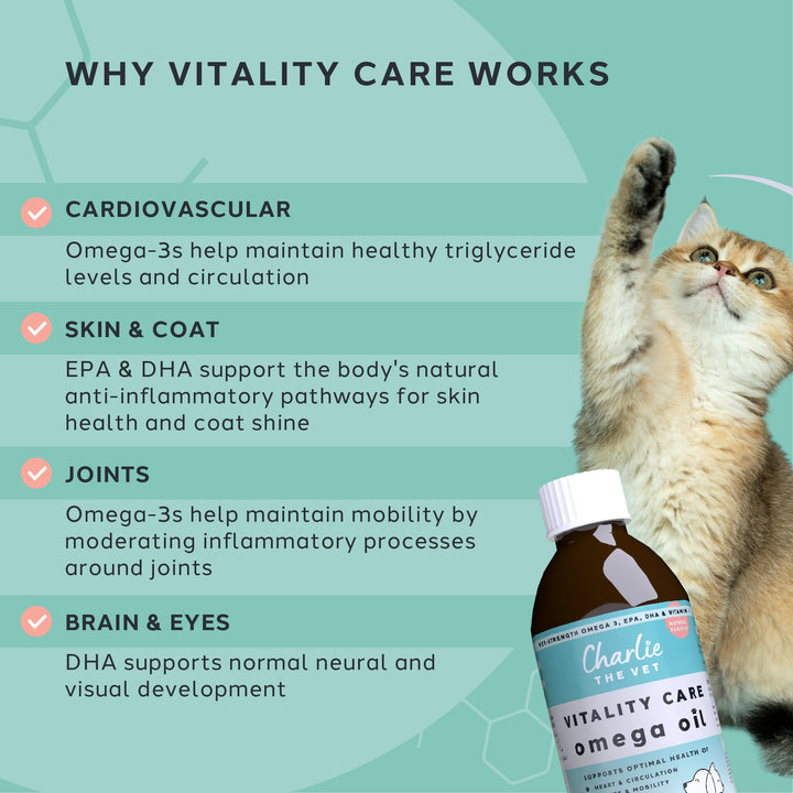 Vitality Care