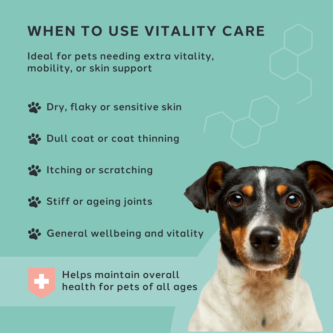 Vitality Care