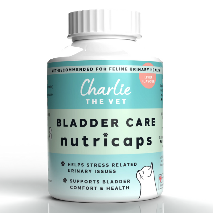 Bladder Care