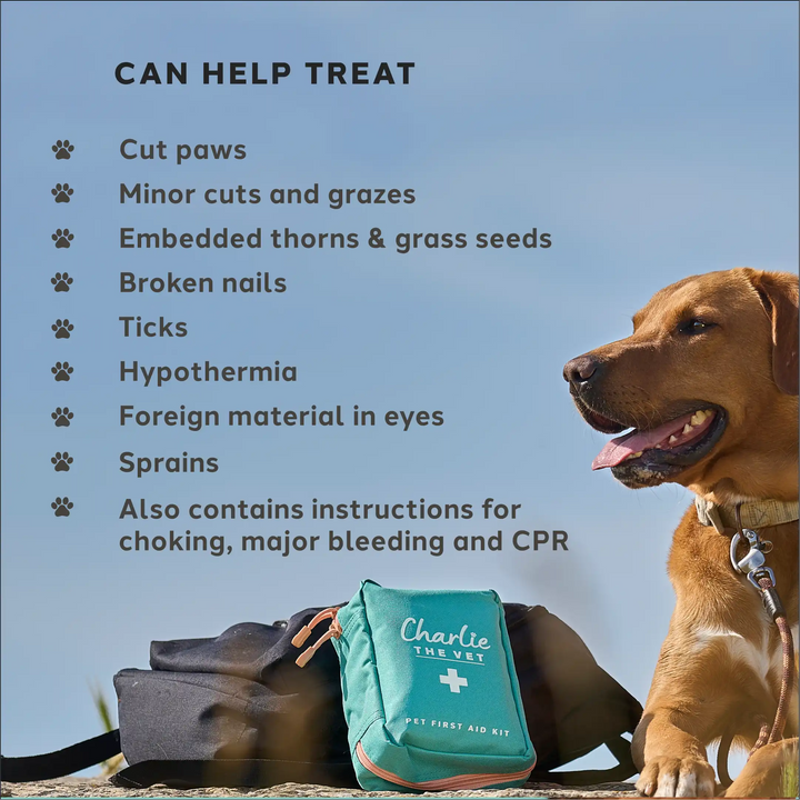 Pet First-Aid Kit