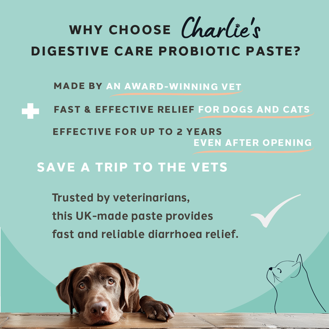 Diarrhoea Care Probiotic Paste
