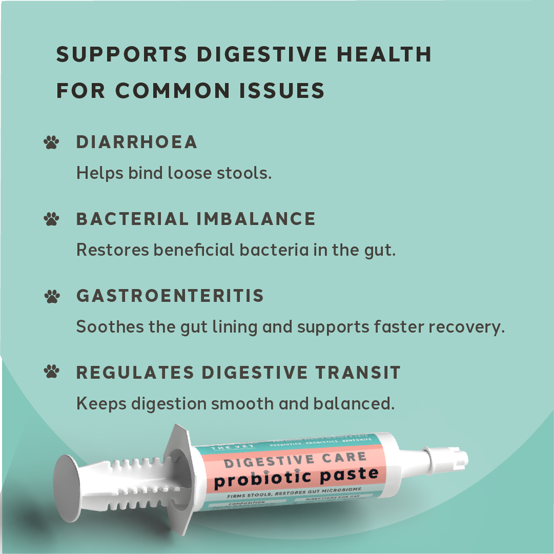 Diarrhoea Care Probiotic Paste