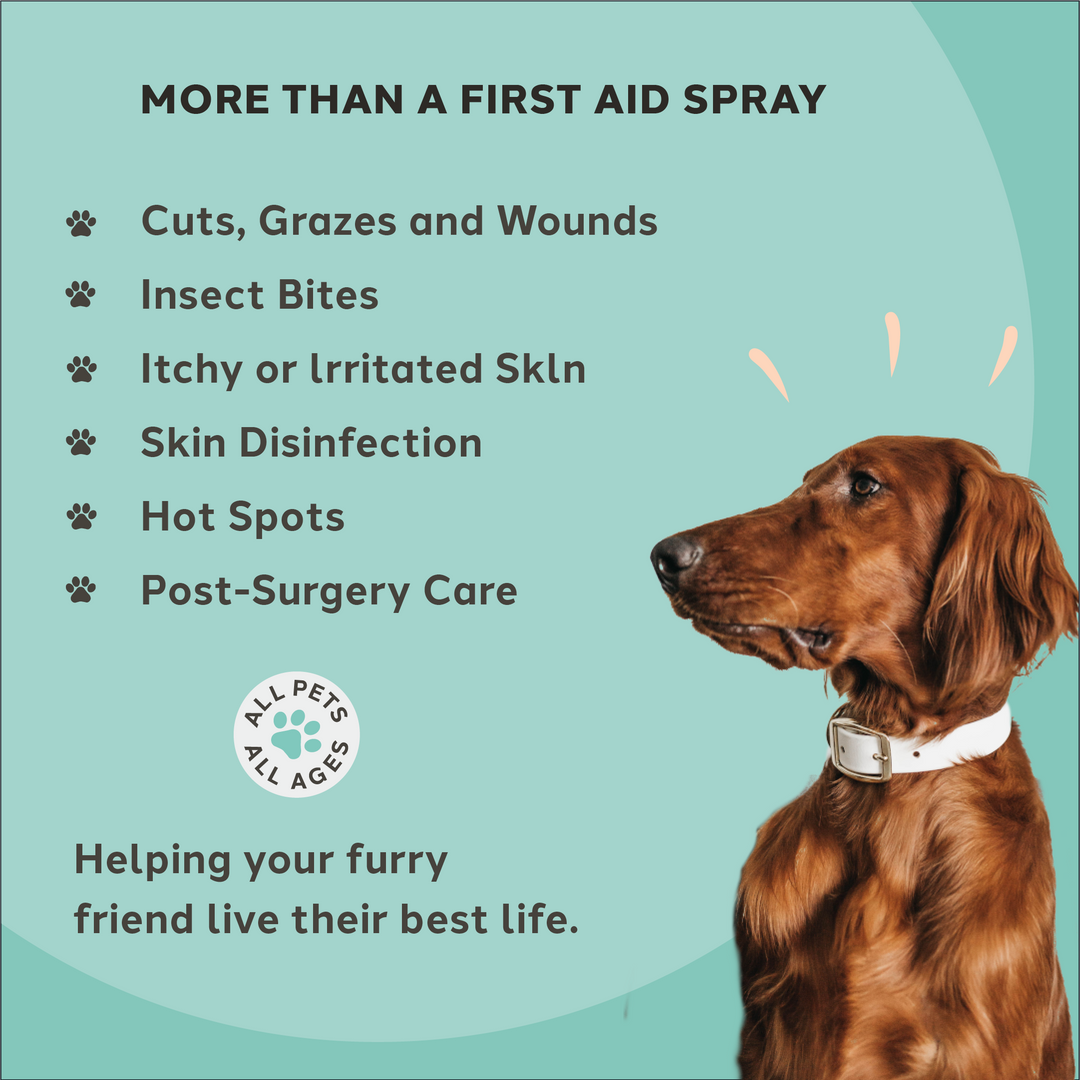 Wound & Skin Care Spray