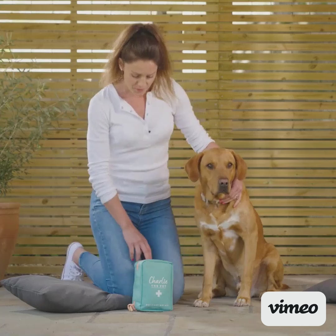 Pet First-Aid Expert (Video Course)