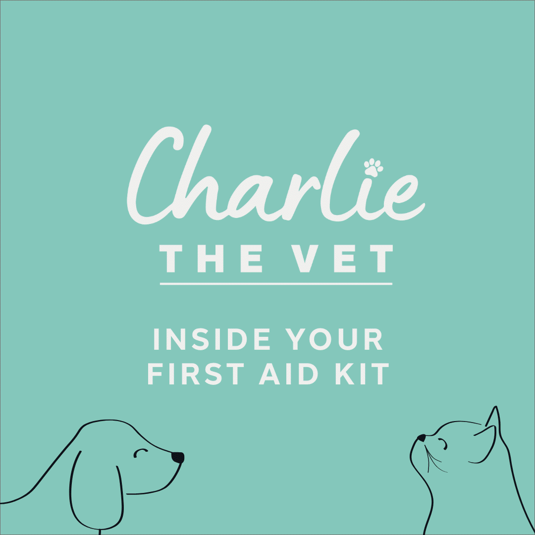 Pet First Aid Kit